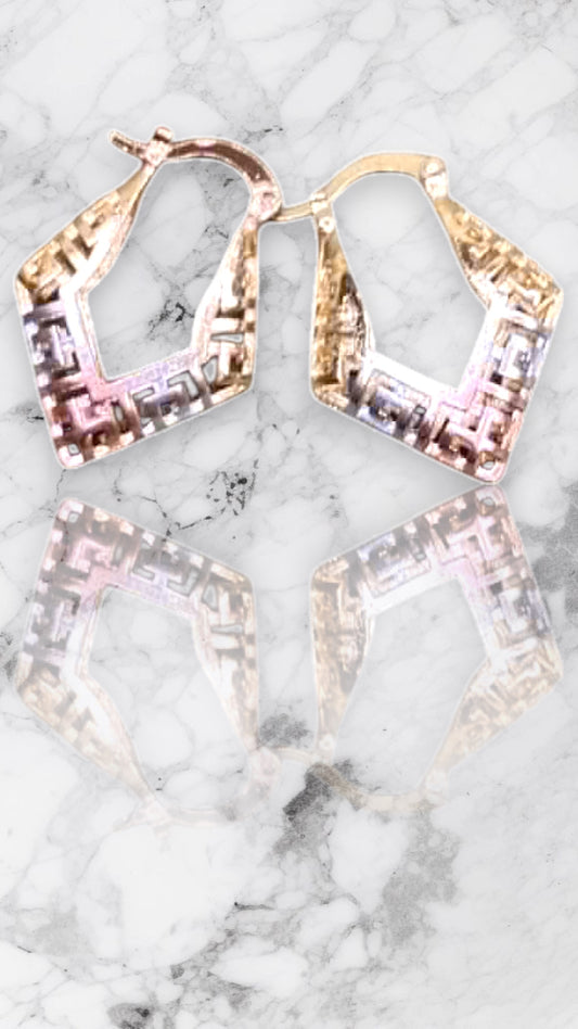 3 Toned Earrings